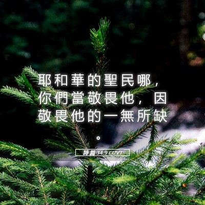 Picture 05 - 詩 篇 34:9 CUVT - 耶 和 華 的 聖 民 哪 ， 你 們 當 敬 - Bible Verse Picture
