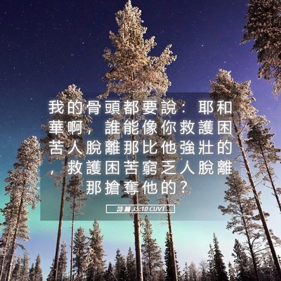 Picture 05 - 詩 篇 35:10 CUVT - 我 的 骨 頭 都 要 說 ： 耶 和 華 啊 - Bible Verse Picture