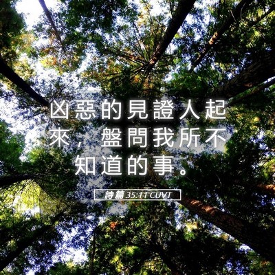 Picture 05 - 詩 篇 35:11 CUVT - 凶 惡 的 見 證 人 起 來 ， 盤 問 我 - Bible Verse Picture