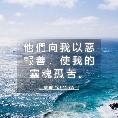 Picture 05 - 詩 篇 35:12 CUVT - 他 們 向 我 以 惡 報 善 ， 使 我 的 - Bible Verse Picture