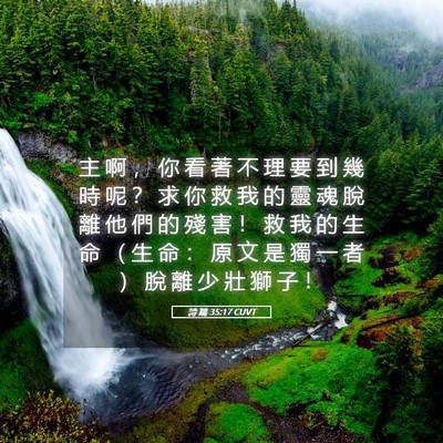 Picture 05 - 詩 篇 35:17 CUVT - 主 啊 ， 你 看 著 不 理 要 到 幾 時 - Bible Verse Picture