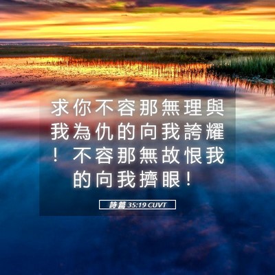 Picture 05 - 詩 篇 35:19 CUVT - 求 你 不 容 那 無 理 與 我 為 仇 的 - Bible Verse Picture