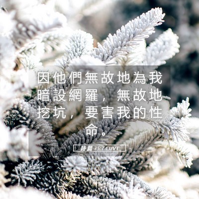 Picture 05 - 詩 篇 35:7 CUVT - 因 他 們 無 故 地 為 我 暗 設 網 羅 - Bible Verse Picture