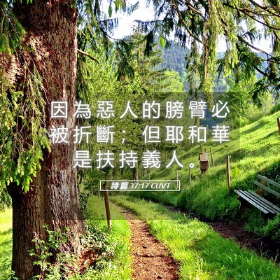 Picture 05 - 詩 篇 37:17 CUVT - 因 為 惡 人 的 膀 臂 必 被 折 斷 ； - Bible Verse Picture