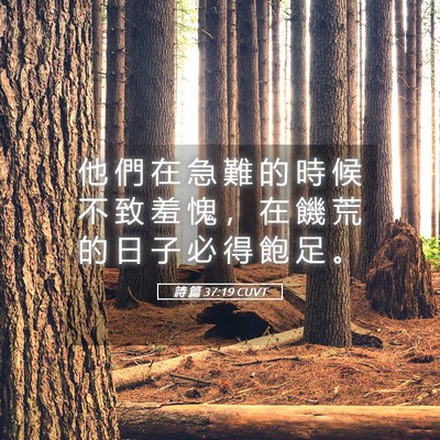 Picture 05 - 詩 篇 37:19 CUVT - 他 們 在 急 難 的 時 候 不 致 羞 愧 - Bible Verse Picture
