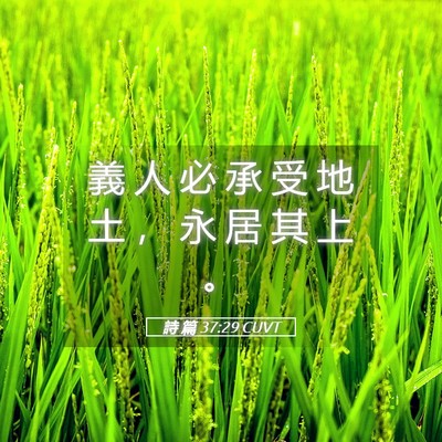 Picture 05 - 詩 篇 37:29 CUVT - 義 人 必 承 受 地 土 ， 永 居 其 上 - Bible Verse Picture