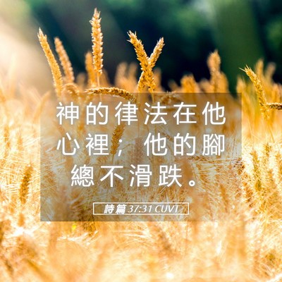 Picture 05 - 詩 篇 37:31 CUVT - 神 的 律 法 在 他 心 裡 ； 他 的 腳 - Bible Verse Picture