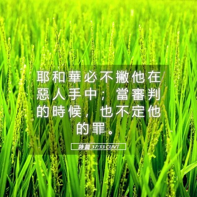 Picture 05 - 詩 篇 37:33 CUVT - 耶 和 華 必 不 撇 他 在 惡 人 手 中 - Bible Verse Picture