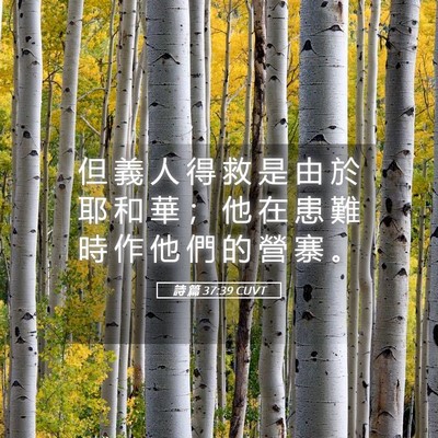 Picture 05 - 詩 篇 37:39 CUVT - 但 義 人 得 救 是 由 於 耶 和 華 ； - Bible Verse Picture