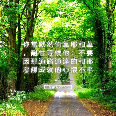 Picture 05 - 詩 篇 37:7 CUVT - 你 當 默 然 倚 靠 耶 和 華 ， 耐 性 - Bible Verse Picture