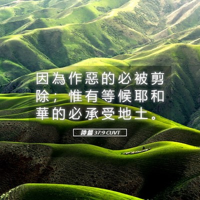 Picture 05 - 詩 篇 37:9 CUVT - 因 為 作 惡 的 必 被 剪 除 ； 惟 有 - Bible Verse Picture