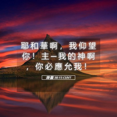 Picture 05 - 詩 篇 38:15 CUVT - 耶 和 華 啊 ， 我 仰 望 你 ！ 主 ─ - Bible Verse Picture