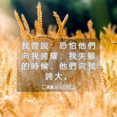 Picture 05 - 詩 篇 38:16 CUVT - 我 曾 說 ： 恐 怕 他 們 向 我 誇 耀 - Bible Verse Picture