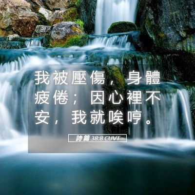 Picture 05 - 詩 篇 38:8 CUVT - 我 被 壓 傷 ， 身 體 疲 倦 ； 因 心 - Bible Verse Picture