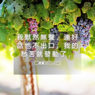 Picture 05 - 詩 篇 39:2 CUVT - 我 默 然 無 聲 ， 連 好 話 也 不 出 - Bible Verse Picture