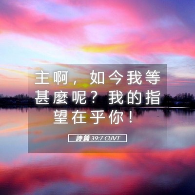 Picture 05 - 詩 篇 39:7 CUVT - 主 啊 ， 如 今 我 等 甚 麼 呢 ？ 我 - Bible Verse Picture