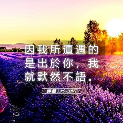 Picture 05 - 詩 篇 39:9 CUVT - 因 我 所 遭 遇 的 是 出 於 你 ， 我 - Bible Verse Picture