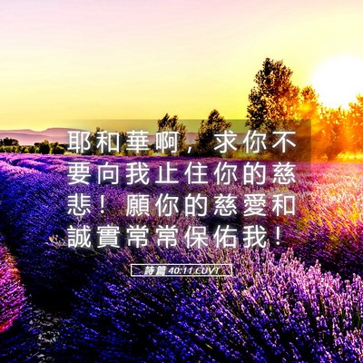 Picture 05 - 詩 篇 40:11 CUVT - 耶 和 華 啊 ， 求 你 不 要 向 我 止 - Bible Verse Picture