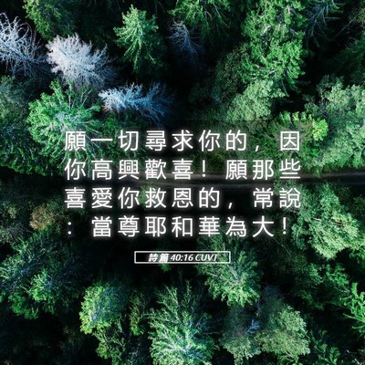Picture 05 - 詩 篇 40:16 CUVT - 願 一 切 尋 求 你 的 ， 因 你 高 興 - Bible Verse Picture