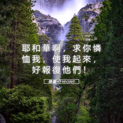 Picture 05 - 詩 篇 41:10 CUVT - 耶 和 華 啊 ， 求 你 憐 恤 我 ， 使 - Bible Verse Picture