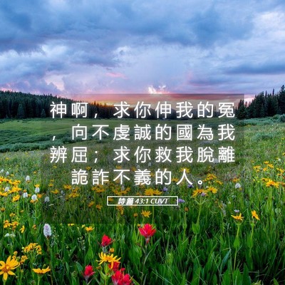 Picture 05 - 詩 篇 43:1 CUVT - 神 啊 ， 求 你 伸 我 的 冤 ， 向 不 - Bible Verse Picture