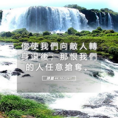 Picture 05 - 詩 篇 44:10 CUVT - 你 使 我 們 向 敵 人 轉 身 退 後 ； - Bible Verse Picture
