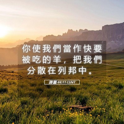 Picture 05 - 詩 篇 44:11 CUVT - 你 使 我 們 當 作 快 要 被 吃 的 羊 - Bible Verse Picture