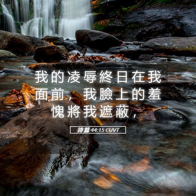 Picture 05 - 詩 篇 44:15 CUVT - 我 的 凌 辱 終 日 在 我 面 前 ， 我 - Bible Verse Picture