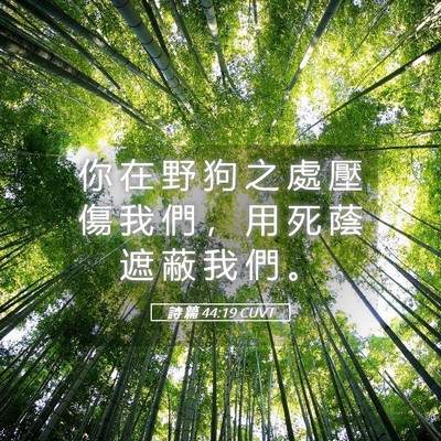 Picture 05 - 詩 篇 44:19 CUVT - 你 在 野 狗 之 處 壓 傷 我 們 ， 用 - Bible Verse Picture