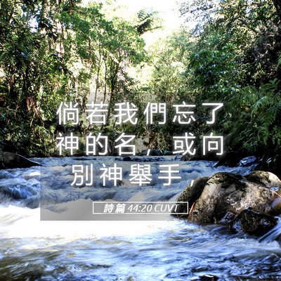 Picture 05 - 詩 篇 44:20 CUVT - 倘 若 我 們 忘 了 神 的 名 ， 或 向 - Bible Verse Picture