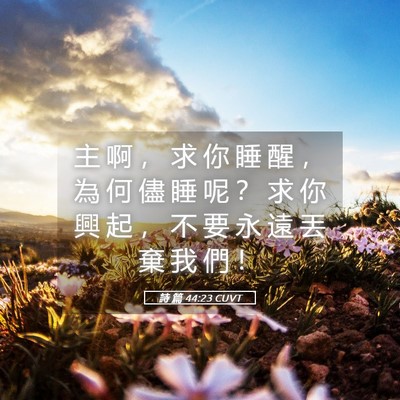 Picture 05 - 詩 篇 44:23 CUVT - 主 啊 ， 求 你 睡 醒 ， 為 何 儘 睡 - Bible Verse Picture