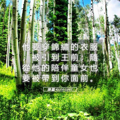 Picture 05 - 詩 篇 45:14 CUVT - 他 要 穿 錦 繡 的 衣 服 ， 被 引 到 - Bible Verse Picture