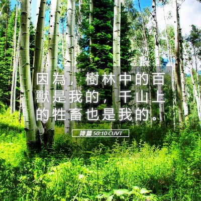 Picture 05 - 詩 篇 50:10 CUVT - 因 為 ， 樹 林 中 的 百 獸 是 我 的 - Bible Verse Picture