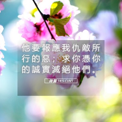 Picture 05 - 詩 篇 54:5 CUVT - 他 要 報 應 我 仇 敵 所 行 的 惡 ； - Bible Verse Picture