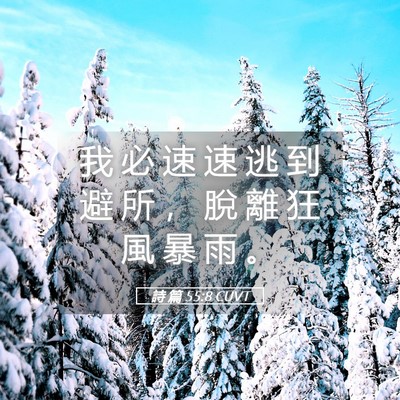 Picture 05 - 詩 篇 55:8 CUVT - 我 必 速 速 逃 到 避 所 ， 脫 離 狂 - Bible Verse Picture