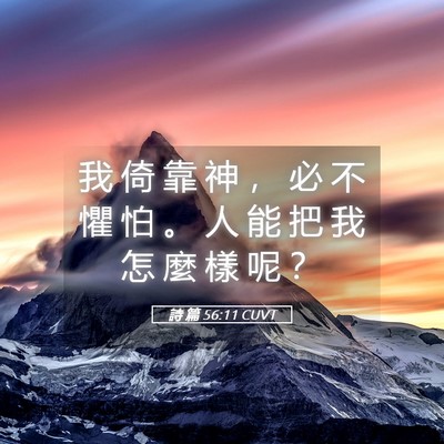 Picture 05 - 詩 篇 56:11 CUVT - 我 倚 靠 神 ， 必 不 懼 怕 。 人 能 - Bible Verse Picture