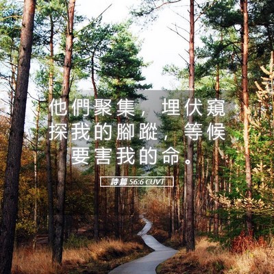 Picture 05 - 詩 篇 56:6 CUVT - 他 們 聚 集 ， 埋 伏 窺 探 我 的 腳 - Bible Verse Picture