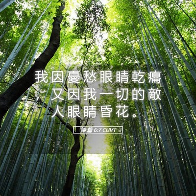 Picture 05 - 詩 篇 6:7 CUVT - 我 因 憂 愁 眼 睛 乾 癟 ， 又 因 我 - Bible Verse Picture