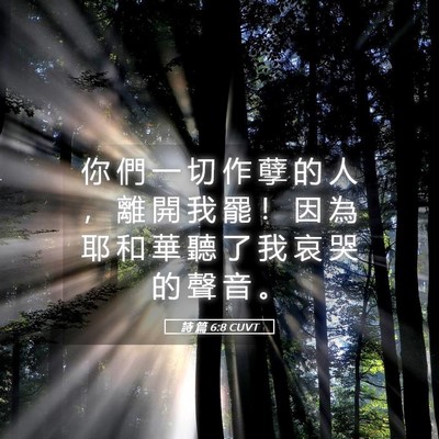 Picture 05 - 詩 篇 6:8 CUVT - 你 們 一 切 作 孽 的 人 ， 離 開 我 - Bible Verse Picture