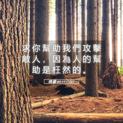 Picture 05 - 詩 篇 60:11 CUVT - 求 你 幫 助 我 們 攻 擊 敵 人 ， 因 - Bible Verse Picture