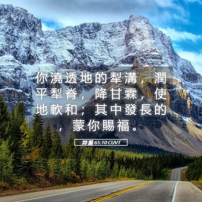 Picture 05 - 詩 篇 65:10 CUVT - 你 澆 透 地 的 犁 溝 ， 潤 平 犁 脊 - Bible Verse Picture