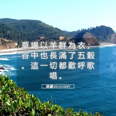 Picture 05 - 詩 篇 65:13 CUVT - 草 場 以 羊 群 為 衣 ； 谷 中 也 長 - Bible Verse Picture