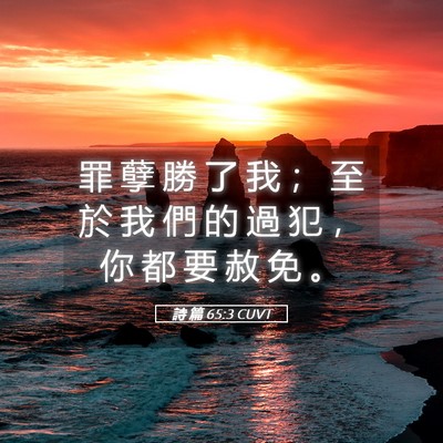 Picture 05 - 詩 篇 65:3 CUVT - 罪 孽 勝 了 我 ； 至 於 我 們 的 過 - Bible Verse Picture