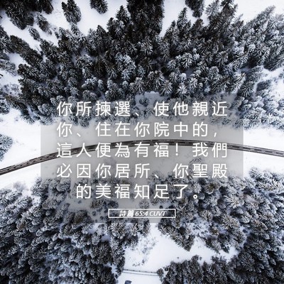 Picture 05 - 詩 篇 65:4 CUVT - 你 所 揀 選 、 使 他 親 近 你 、 住 - Bible Verse Picture