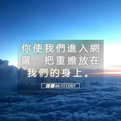 Picture 05 - 詩 篇 66:11 CUVT - 你 使 我 們 進 入 網 羅 ， 把 重 擔 - Bible Verse Picture