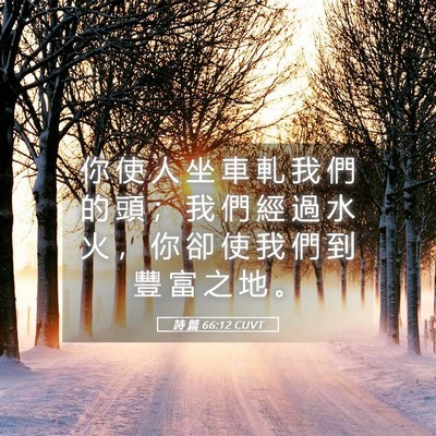 Picture 05 - 詩 篇 66:12 CUVT - 你 使 人 坐 車 軋 我 們 的 頭 ； 我 - Bible Verse Picture
