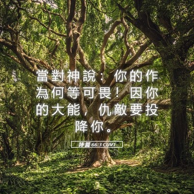 Picture 05 - 詩 篇 66:3 CUVT - 當 對 神 說 ： 你 的 作 為 何 等 可 - Bible Verse Picture