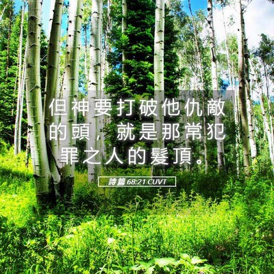 Picture 05 - 詩 篇 68:21 CUVT - 但 神 要 打 破 他 仇 敵 的 頭 ， 就 - Bible Verse Picture