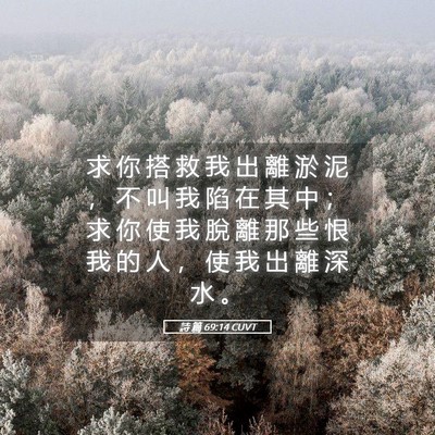 Picture 05 - 詩 篇 69:14 CUVT - 求 你 搭 救 我 出 離 淤 泥 ， 不 叫 - Bible Verse Picture