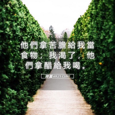 Picture 05 - 詩 篇 69:21 CUVT - 他 們 拿 苦 膽 給 我 當 食 物 ； 我 - Bible Verse Picture